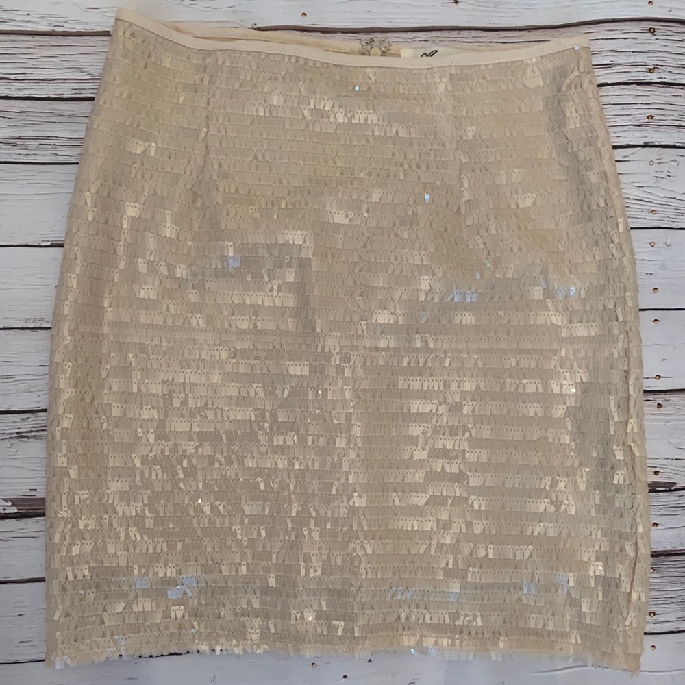 Francescas Sequin Skirt